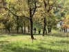 Schnupper-Runden 2022: P. Sauerhammer