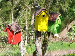 Stefan Schuster 2025